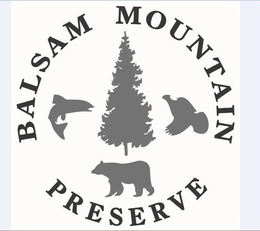 BALSAM MOUNTAIN PRESERVE trademark