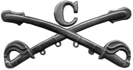 C trademark