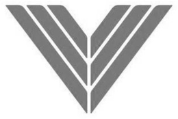 V trademark