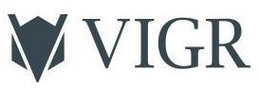 V VIGR trademark