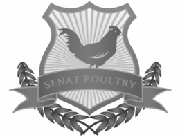 SENAT POULTRY trademark
