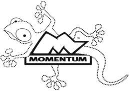 M MOMENTUM trademark