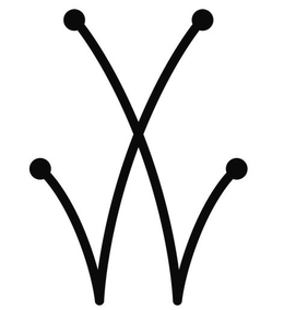 W trademark
