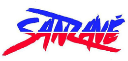 SANZAVE trademark