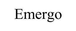 EMERGO trademark