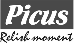 PICUS RELISH MOMENT trademark
