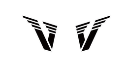 VV trademark