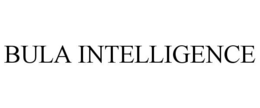 BULA INTELLIGENCE trademark