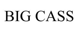 BIG CASS trademark
