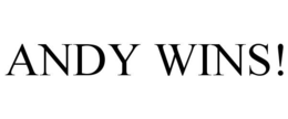 ANDY WINS! trademark