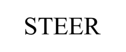 STEER trademark
