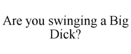 ARE YOU SWINGING A BIG DICK? trademark