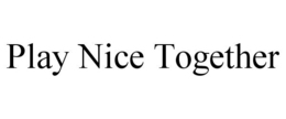 PLAY NICE TOGETHER trademark