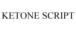 KETONE SCRIPT trademark