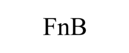 FNB trademark