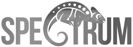 SPECTRUM trademark