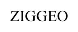 ZIGGEO trademark