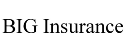BIG INSURANCE trademark