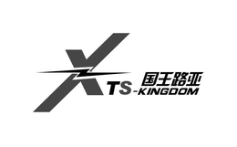 X TS-KINGDOM trademark