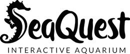 SEAQUEST INTERACTIVE AQUARIUM trademark