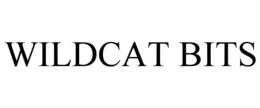WILDCAT BITS trademark