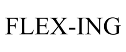FLEX-ING trademark