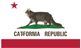 CATFORNIA REPUBLIC trademark