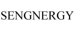 SENGNERGY trademark