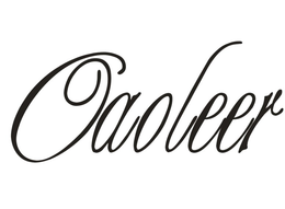 OAOLEER trademark