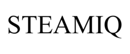 STEAMIQ trademark