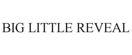 BIG LITTLE REVEAL trademark
