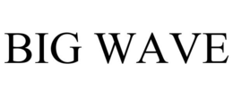 BIGWAVE trademark