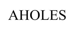 AHOLES trademark