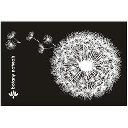 BOTANY NATURALS trademark