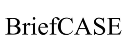 BRIEFCASE trademark