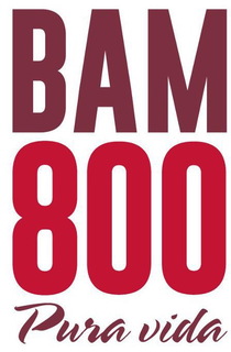 BAM800 PURA VIDA trademark