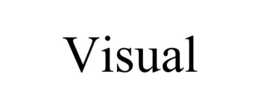 VISUAL trademark