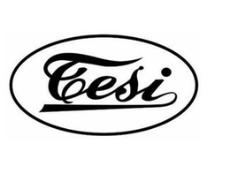 EESI trademark
