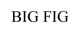 BIG FIG trademark