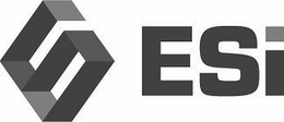 ESI ESI trademark