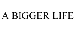 A BIGGER LIFE trademark
