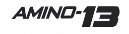 AMINO-13 trademark