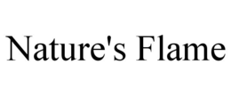 NATURE'S FLAME trademark