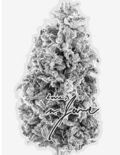 LOVE, M. JANE trademark