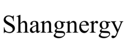 SHANGNERGY trademark