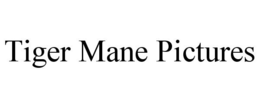TIGER MANE PICTURES trademark
