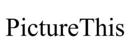 PICTURETHIS trademark