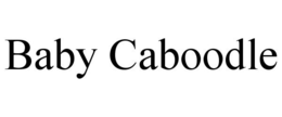 BABY CABOODLE trademark
