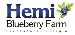 HEMI BLUEBERRY FARM GREENSBORO, GEORGIA trademark