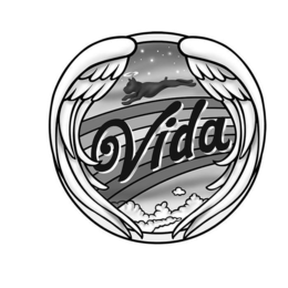 VIDA trademark